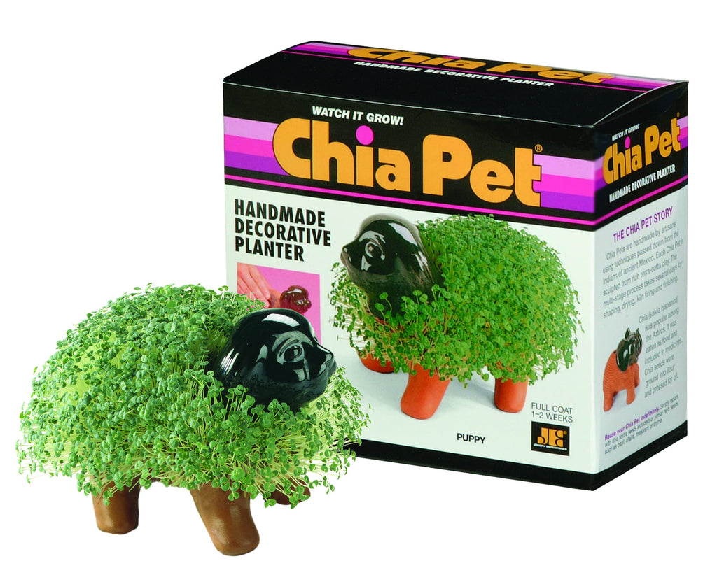 Chia Pet Planter - Puppy