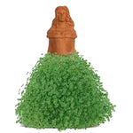 princess plant