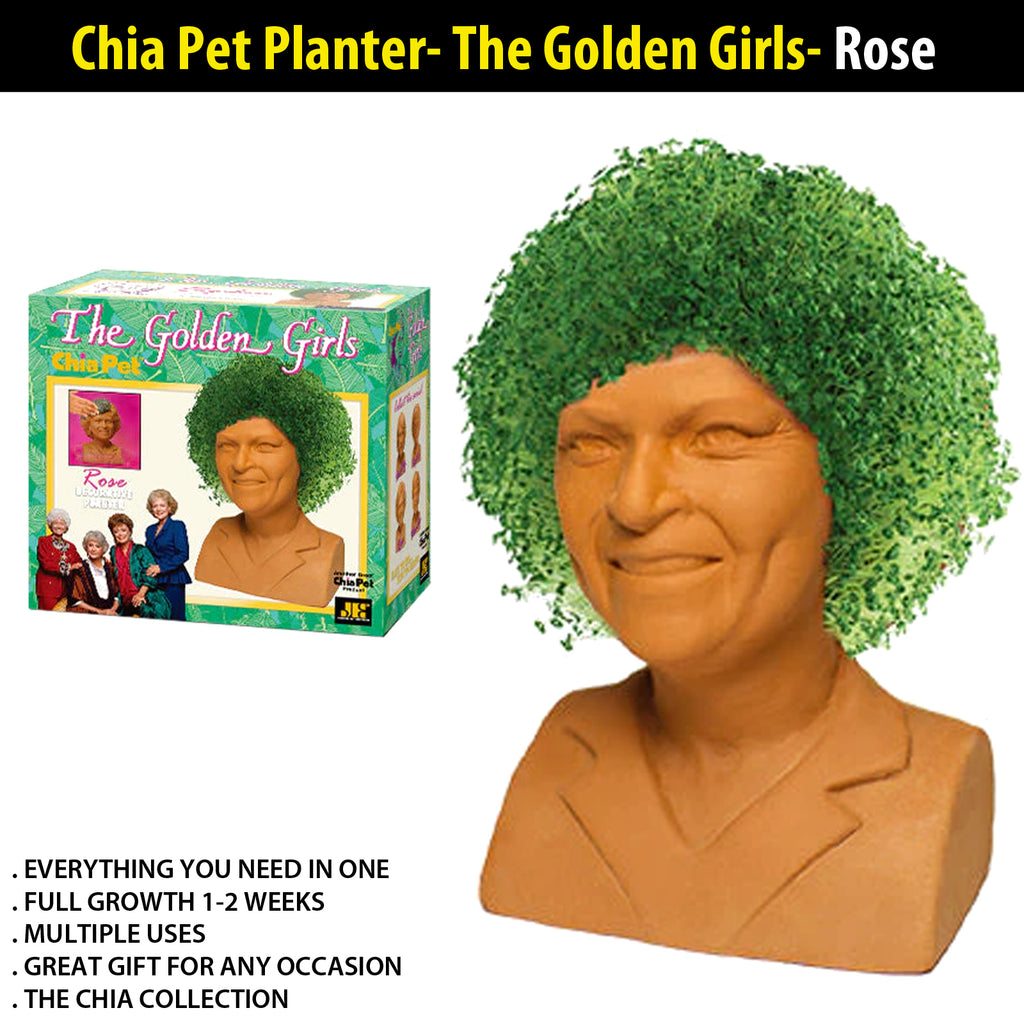 indoor plant pots