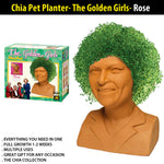 indoor plant pots