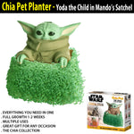 chia planter