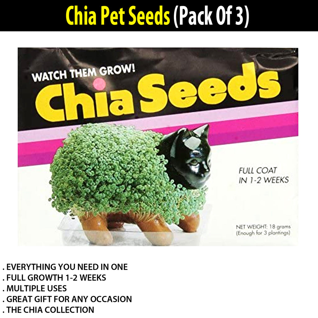 plant seeds