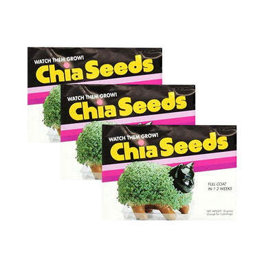 plant seeds