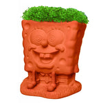 plants and pots
