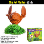 indoor plant pots