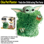 yoda chia pet