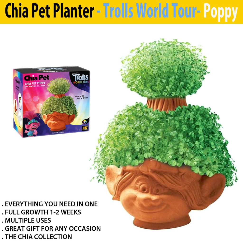 ceramic plant pots