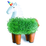 decorative plant pots