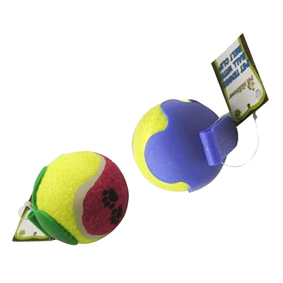 tennis balls for dogs