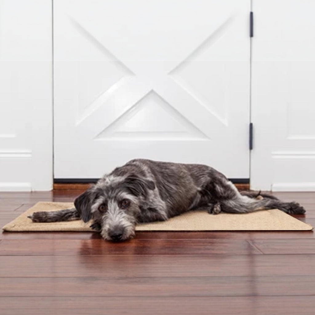 dog mat