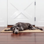dog mat
