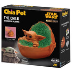 yoda chia pet
