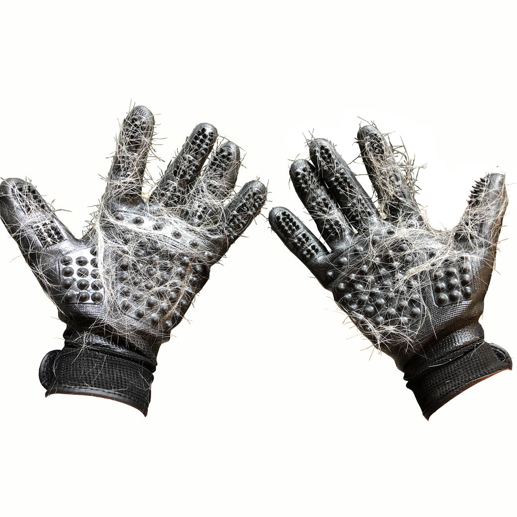 pet glove
