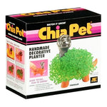 Chia Pet Planter- Dinosaur