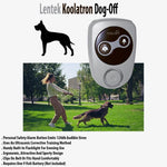 dog training