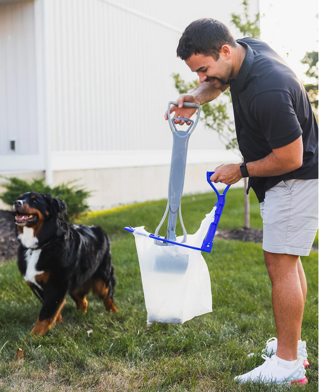 dog waste removal