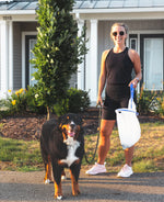 dog poop cleaning service