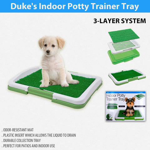 indoor dog potty