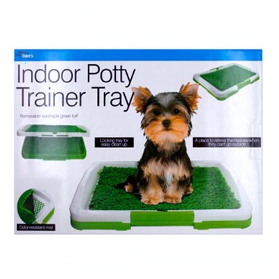 indoor dog potty