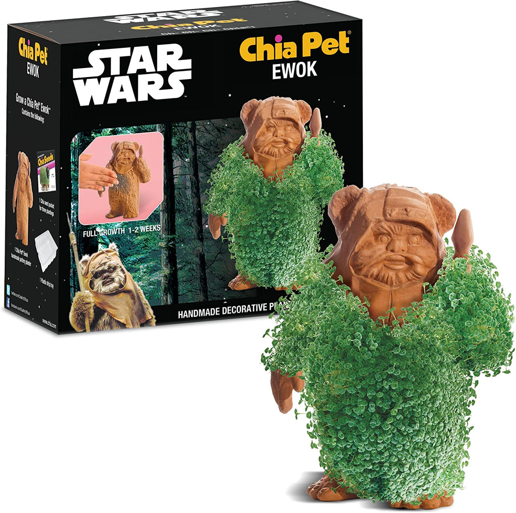 ewok star wars
