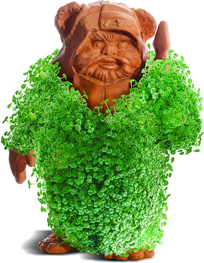 star wars planter