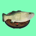 Big Mouth Billy Bass Singing Sensation "I Will Survive" & "Dont Worry Be Happy"