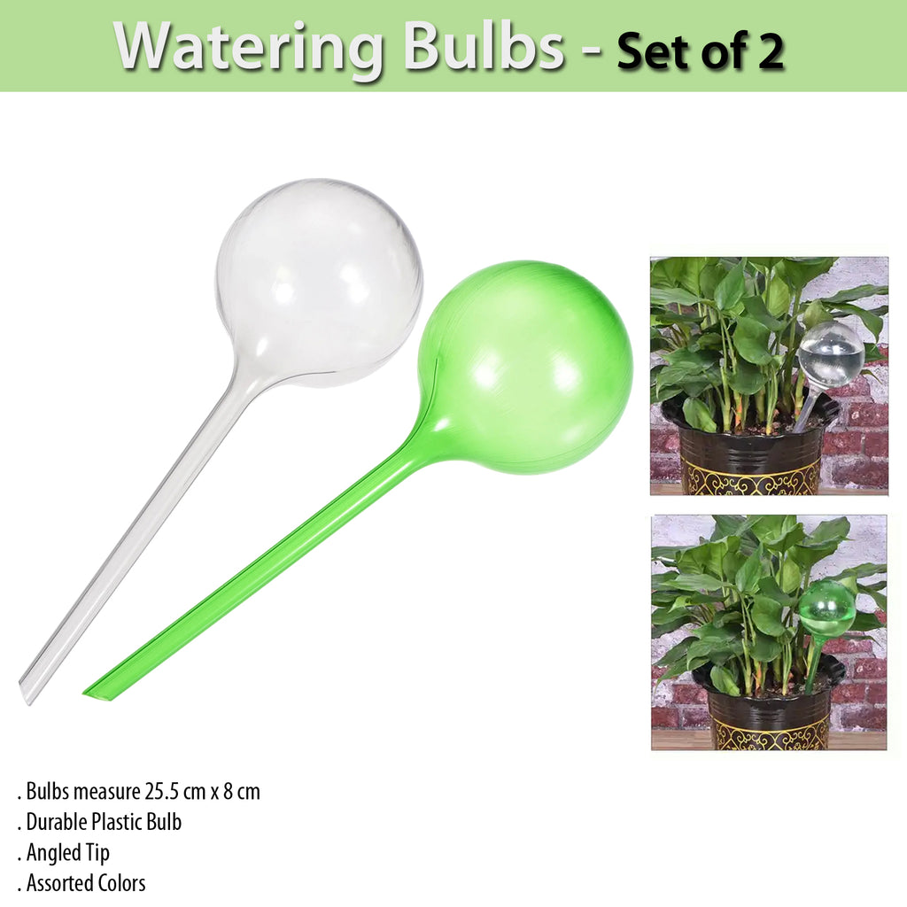 watering bulbs