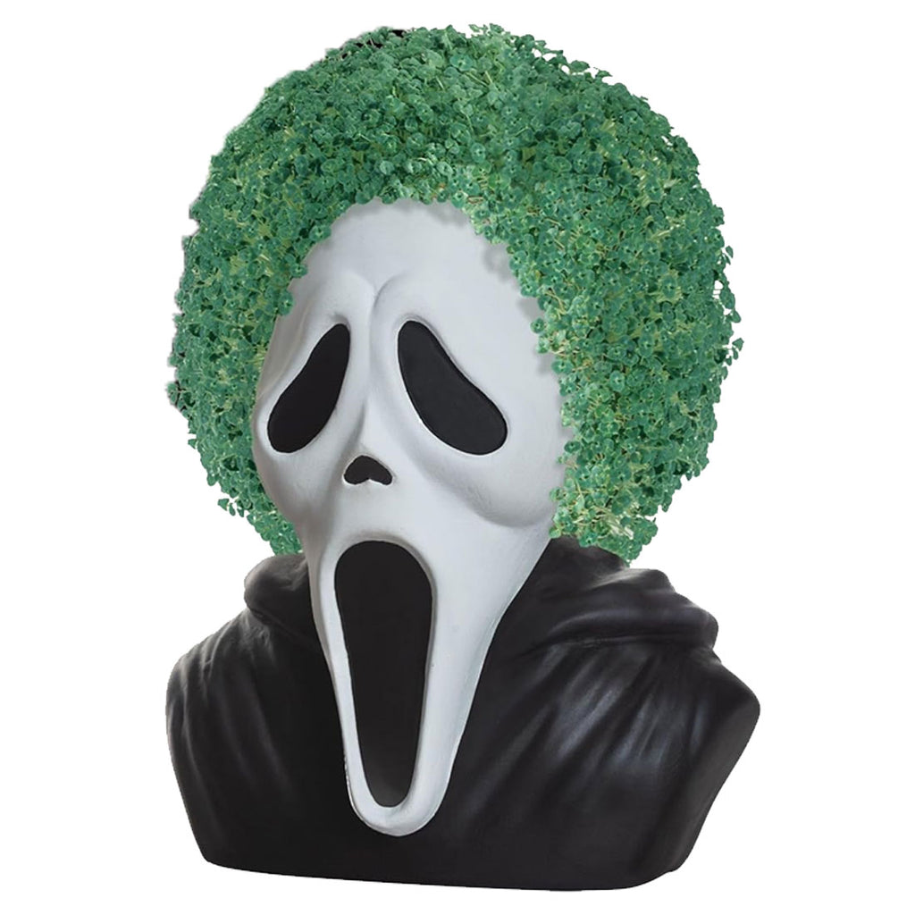 chia seed plant