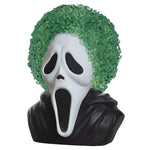 chia seed plant