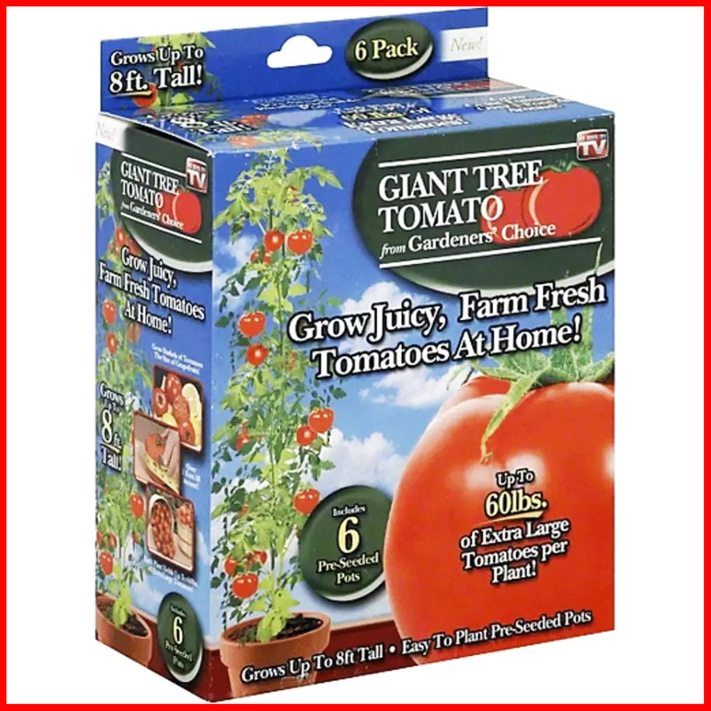 Gardener's Choice Giant Tree Tomato - Includes 6 Pre-Seeded Pots