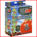 Gardener's Choice Giant Tree Tomato - Includes 6 Pre-Seeded Pots