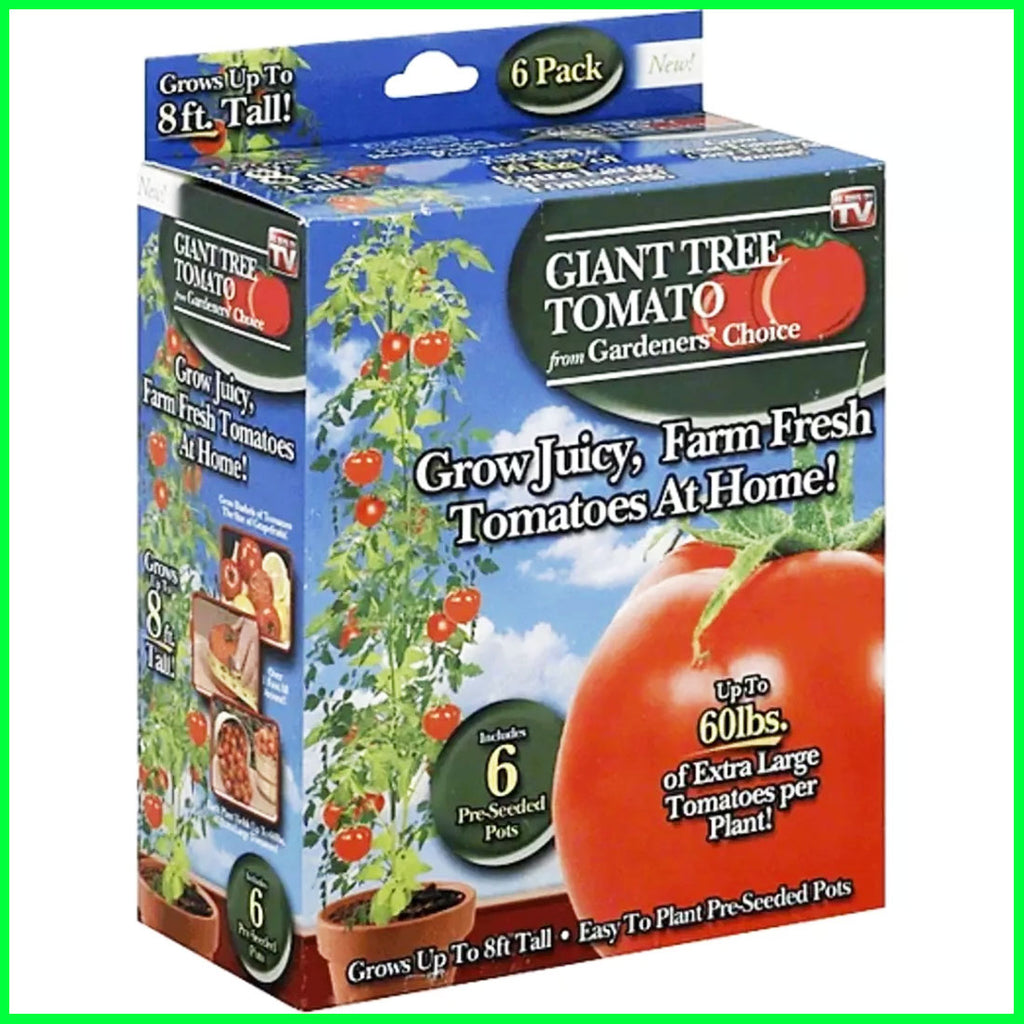 Gardener's Choice Giant Tree Tomato - Includes 6 Pre-Seeded Pots