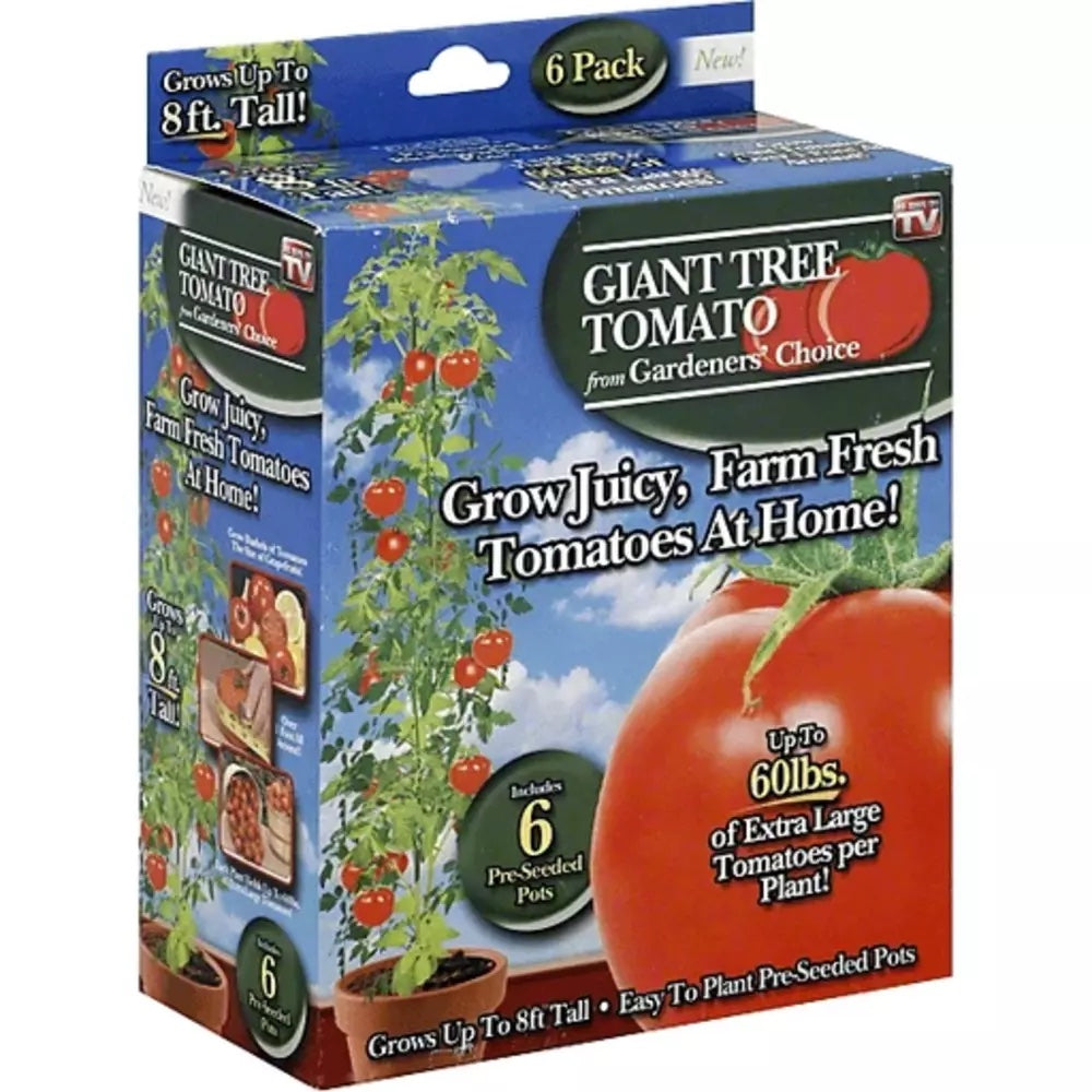 tree tomato