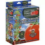 tree tomato