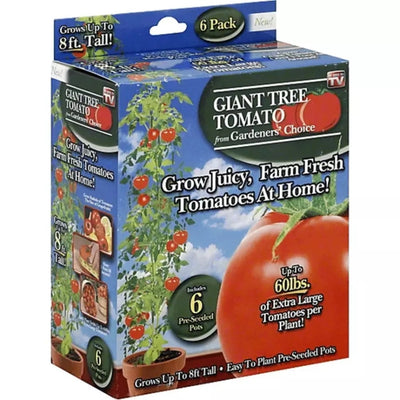 tree tomato