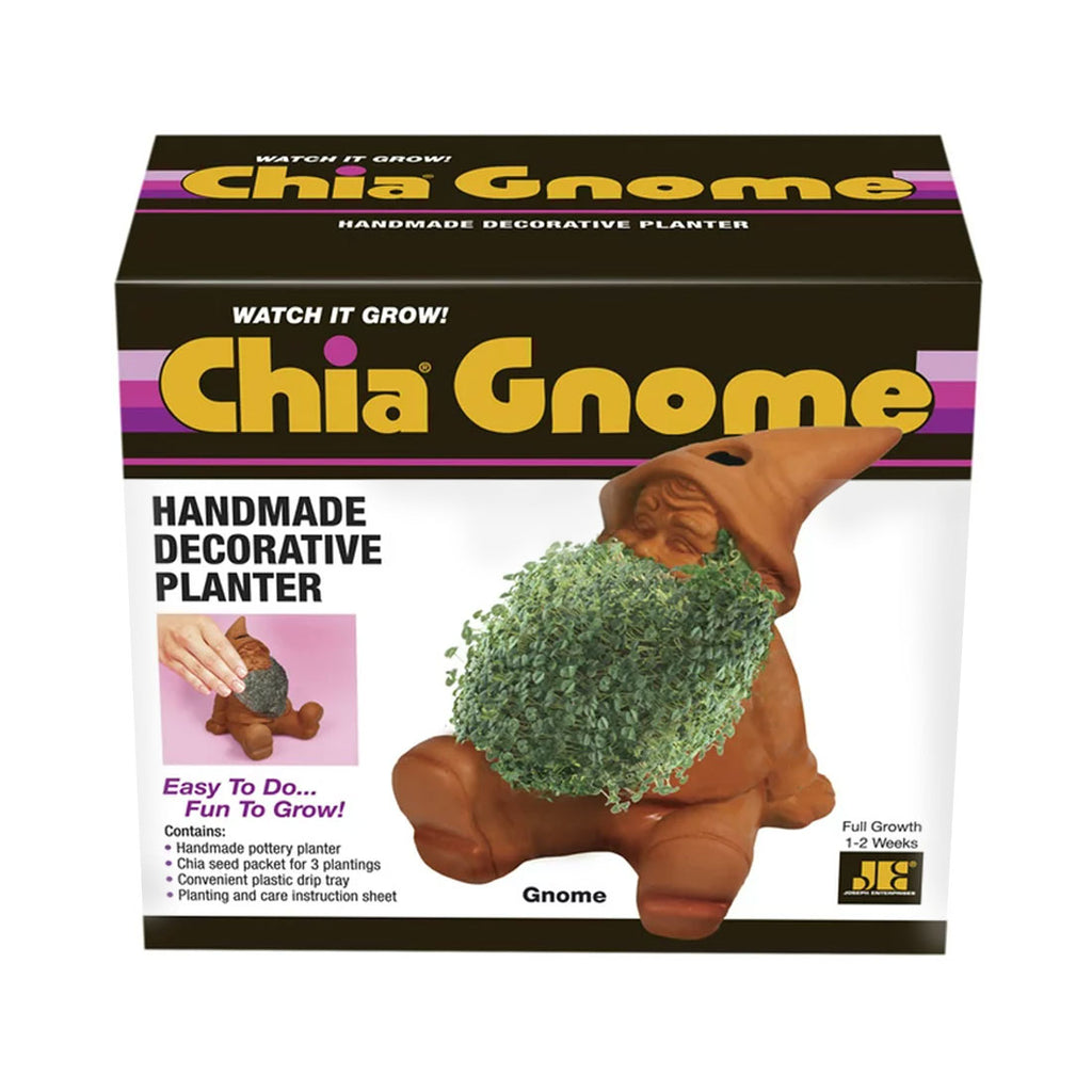 gnome plant