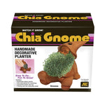 gnome plant