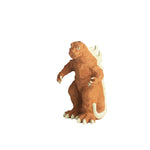 chia pet seeds