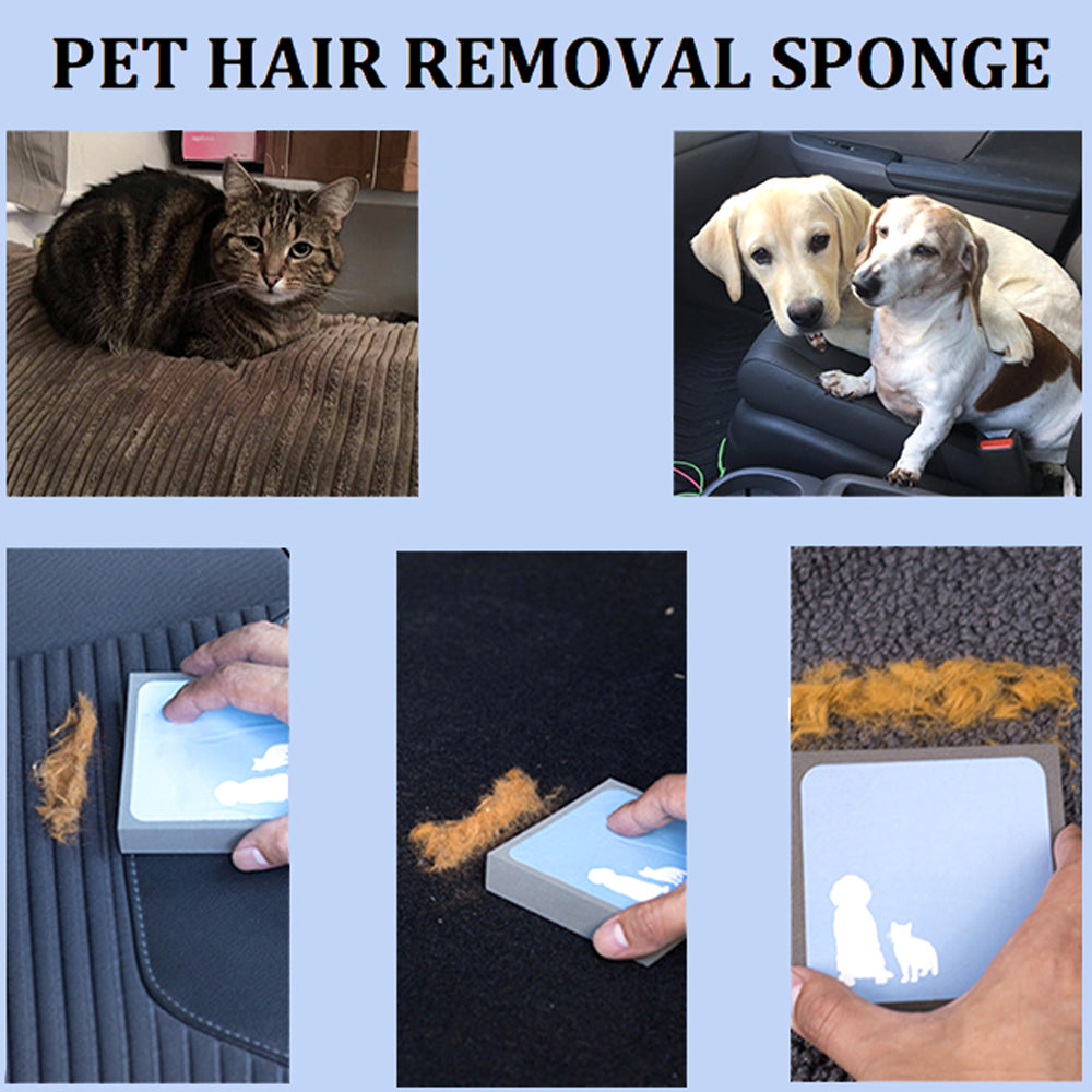 dog hair remover