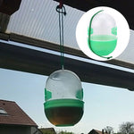 bugs control