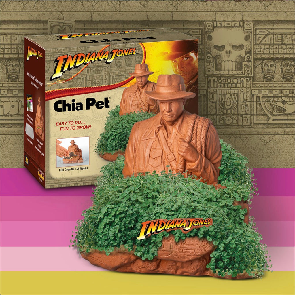 indoor plant pots