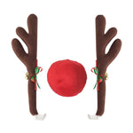 reindeer car kit
