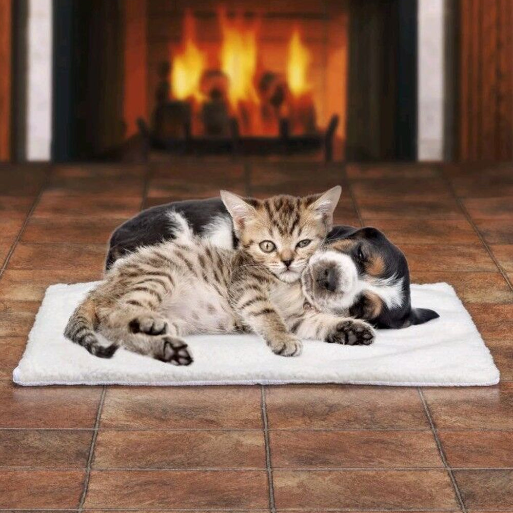 heated pet bed