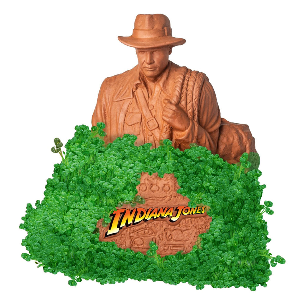Chia Pet Planter - Indiana Jones