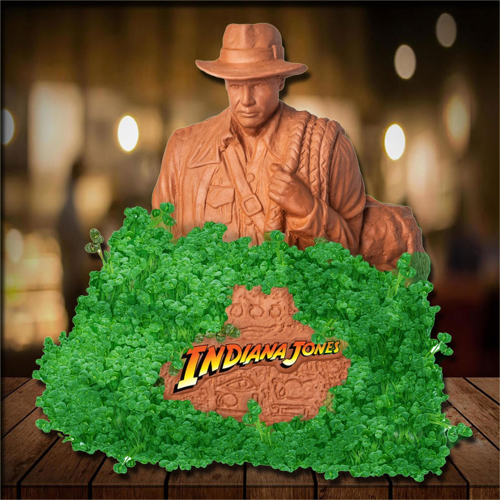 Chia Pet Planter - Indiana Jones