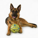 dog fetch toy