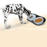 my dog will not eat dog food