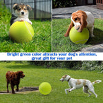 Jumbo Pet Tennis Ball - 9.5"