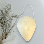 Gentle Exfoliating Konjac Sponge