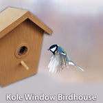 bird nest house